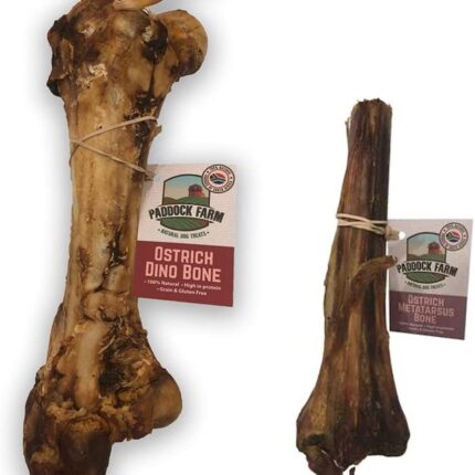 Dino Bone and Metatarsus Dog Chew